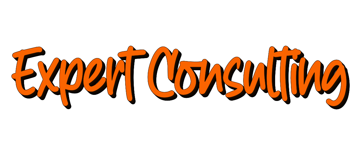 expert consulting